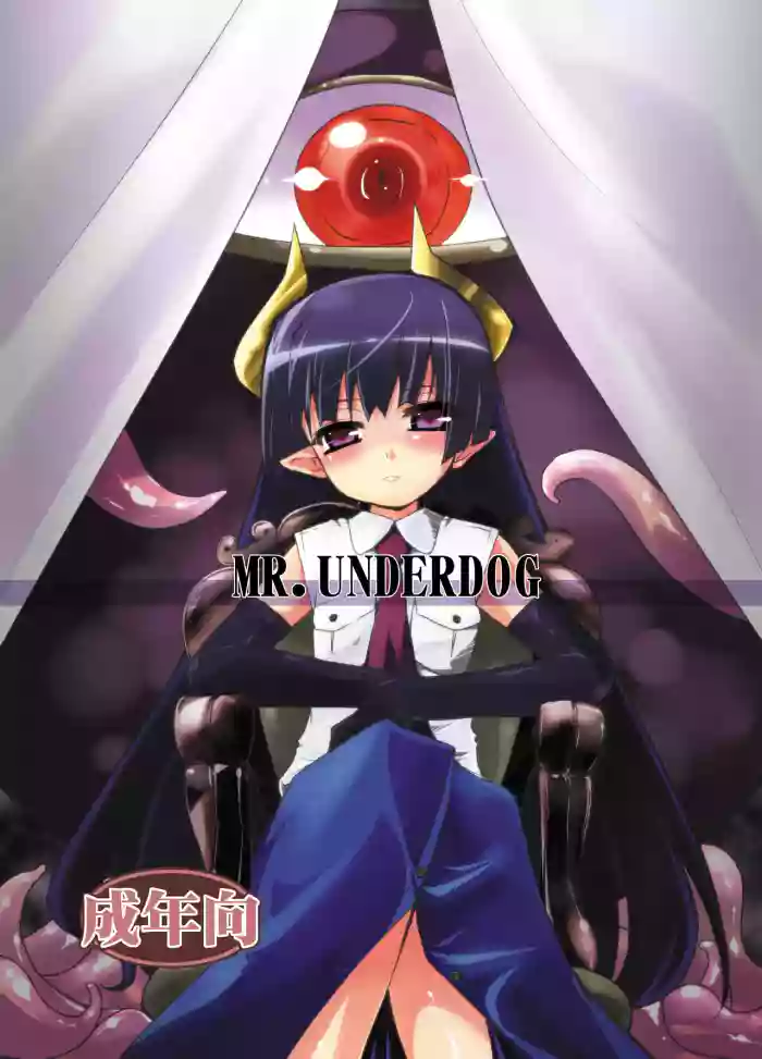 MR.UNDERDOG